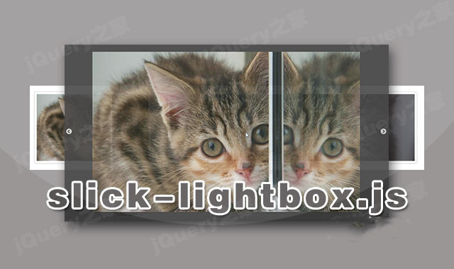 jquery响应式弹出层lightbox插件slick-lightbox.js-HTML资源网